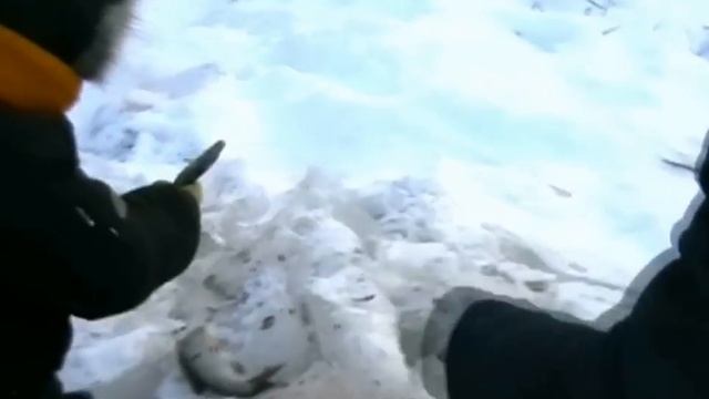 Руками ловим рыбу, часть 1 смотреть онлайн