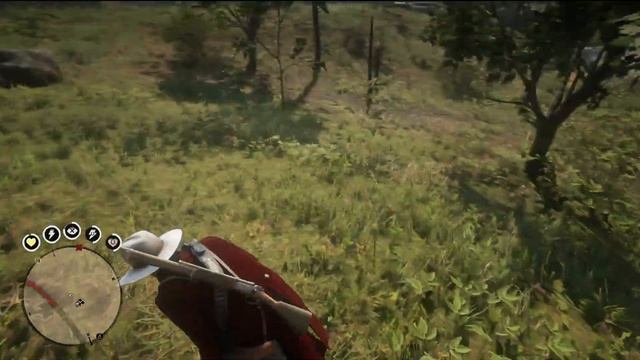 Red Dead Redemption 2. Может ли Артур научиться летать? смотреть онлайн