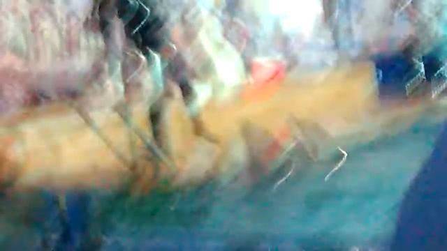 Дельфинарий в ТЦ Амбар смотреть онлайн