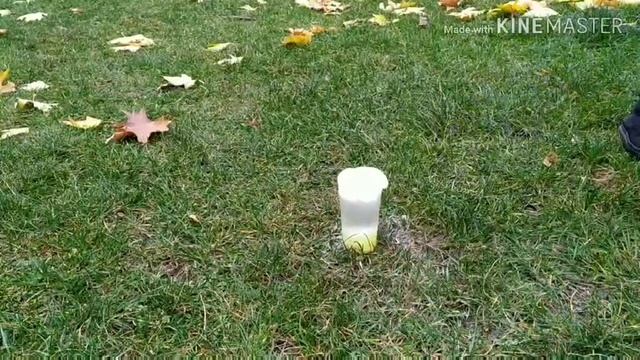 Експеримент:уксус фейри и сода смотреть онлайн