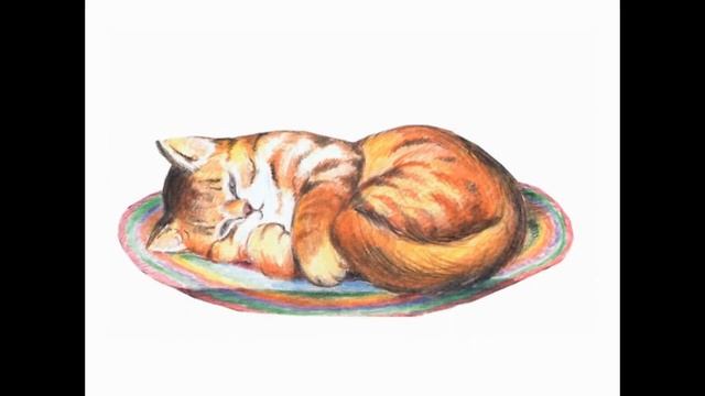 Отзыв о книге Константина Павлова - Для Чего Ежу Иголки (2019) смотреть онлайн