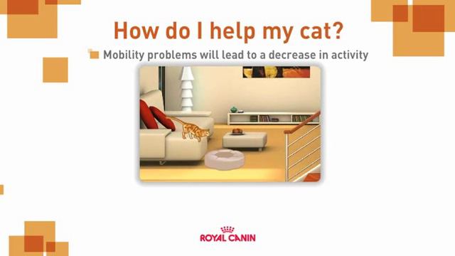 Royal Canin How to help keep your mature cat healthy смотреть онлайн