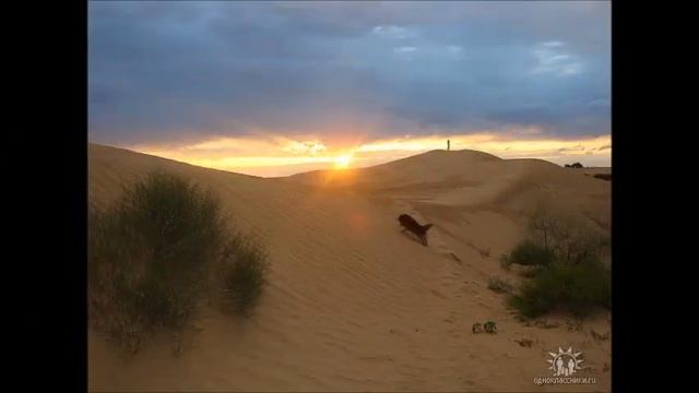 Станция Матай