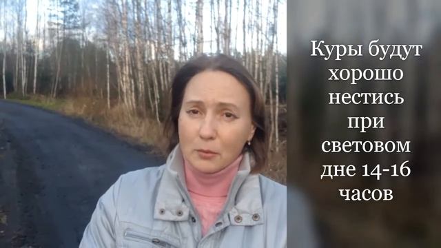 Курятник на 10 кур где разместить? Ошибки при выборе места. Куры болеют от недостатка солнца. смотреть онлайн