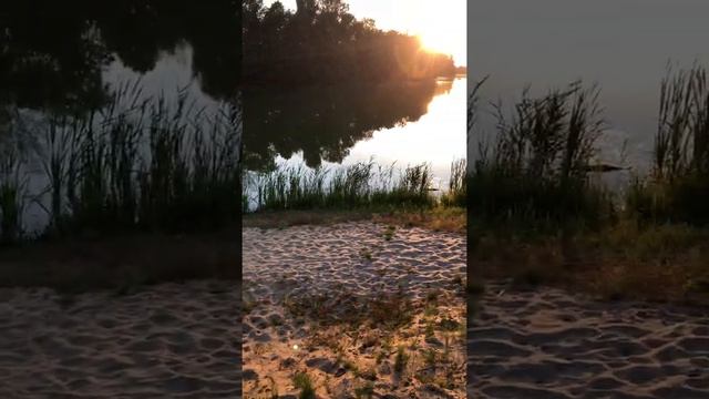 База отдыха в Рязанской области смотреть онлайн