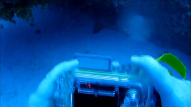 Куба Дайвинг #2. Cuba diving смотреть онлайн