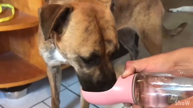 20 Новейших Вещей с Aliexpress, От Которых Ты Офигеешь Новых Вещи с Алиэкспресс КОНКУРС смотреть онлайн