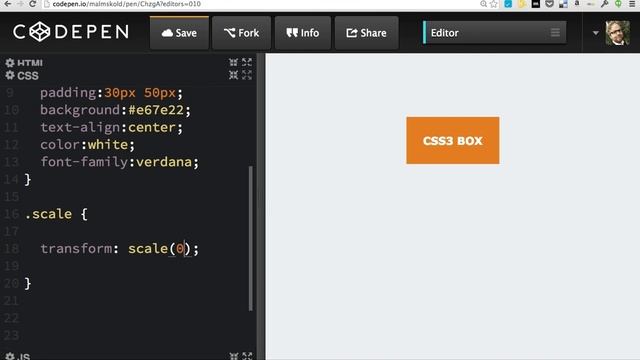 CSS transform scale смотреть онлайн