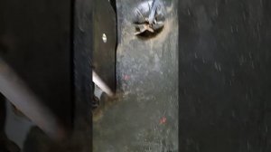 замена мотора печки (отопителя салона) honda CAPA или LOGO