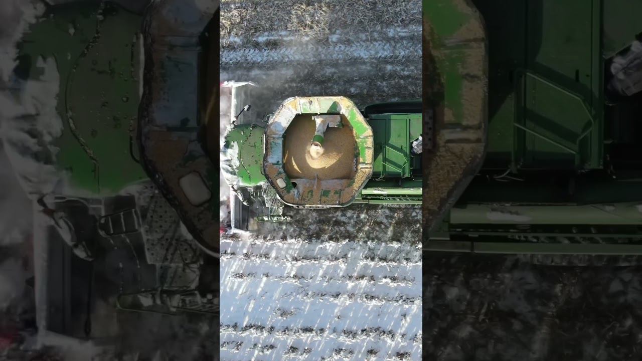 Все в зимней уборке кукурузы All in winter corn harvest смотреть онлайн