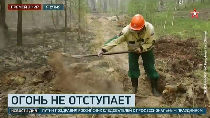 ТК Звезда_ Борьба с лесными пожарами в Якутии смотреть онлайн