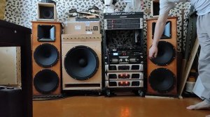 4 штуки НОЭМА 200ГДШ36-8, без рупорков, 80(24дб/окт)-22000 герц