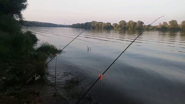 Первый сом на куриную печень(р Ока 3.08.2018) смотреть онлайн