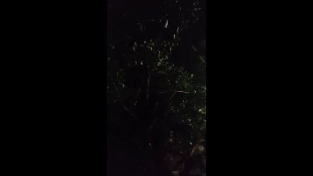 Ночной светильник во дворе! смотреть онлайн