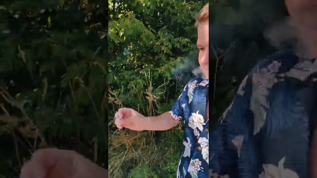 Влог Тверская область Часть 2 смотреть онлайн