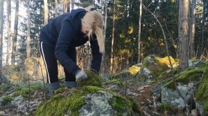 Шары из природных материалов. Шары из мха.