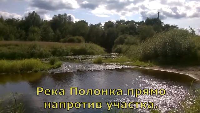 Лучший земельный участок в Псковской области! смотреть онлайн