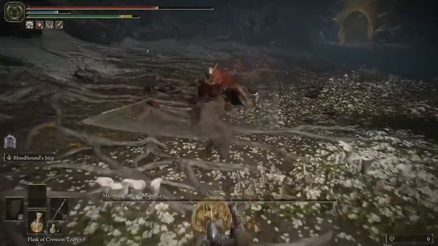 Seems like Malenia is the most BROKEN boss in Elden Ring now... смотреть онлайн