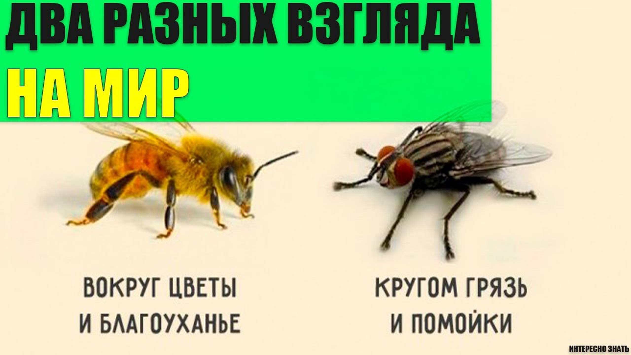 Два разных взгляда на Мир смотреть онлайн