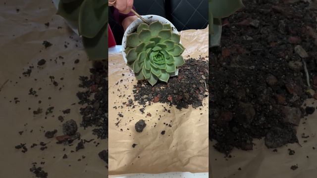 31 октября 2022 г.