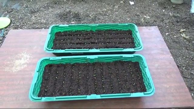 43/19 Дела наши житейско - огородно - тепличные...))) смотреть онлайн