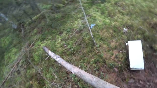 НА ИЗБУ С НОЧЕВКОЙ / ОХОТА НА КУНИЦУ КАПКАНАМИ / РЫБАЛКА часть1 смотреть онлайн