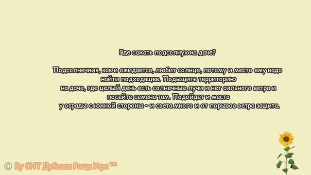 ❓МОЖНО ЛИ ВЫРАСТИТЬ ПОДСОЛНЕЧНИК В САДУ!? смотреть онлайн