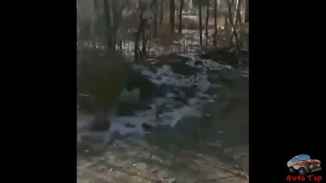 БОРЬБА С РАДАРАМИ, ТРЕНОГАМИ #1 ? смотреть онлайн