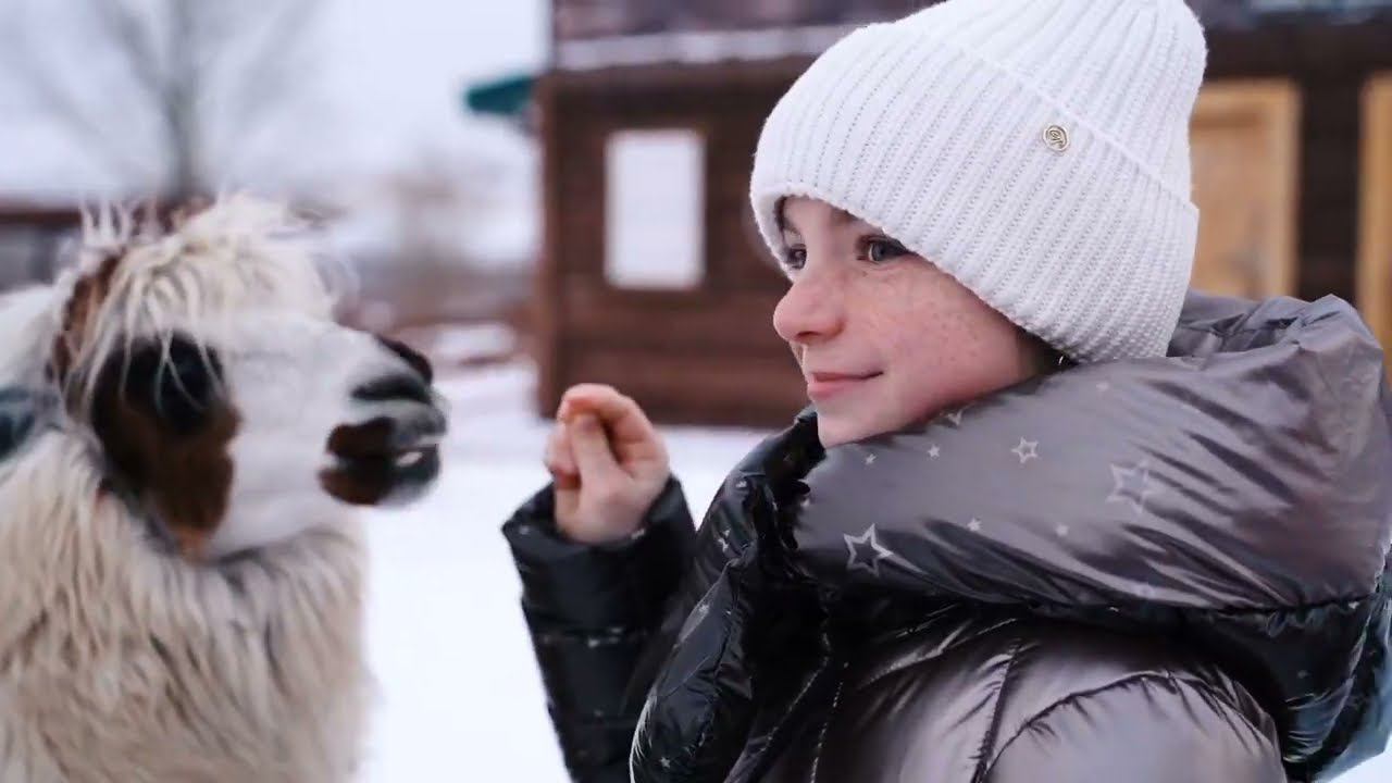 Мимимишная «Альпака елка» в парке «Белый колодец» смотреть онлайн