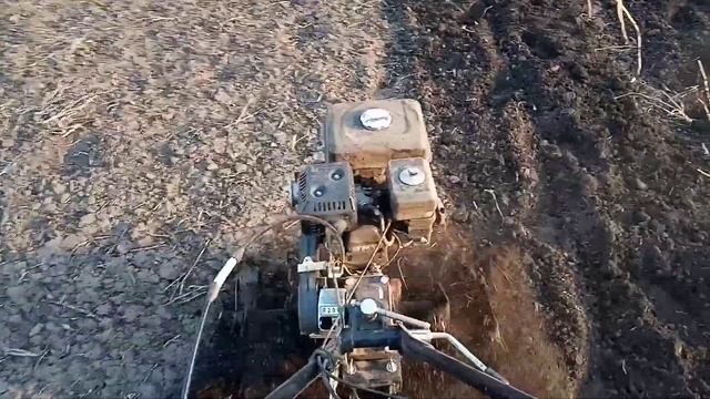 Фрезеруем мотоблоком Кентавр 40-2. смотреть онлайн