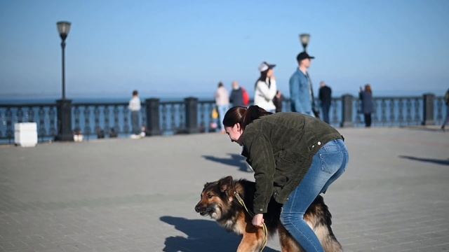 Набережная Таганрога. Test video Nikon Z6 FTZ 50 mm 1.8 смотреть онлайн