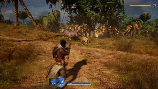 assassins creed origins hippo vs lion смотреть онлайн