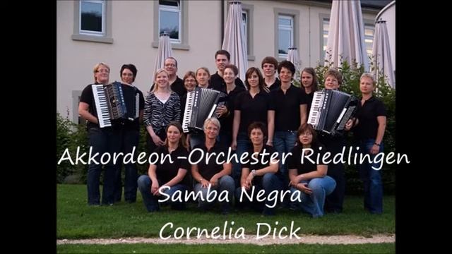 Samba Negra - Akkordeon-Orchester Riedlingen смотреть онлайн