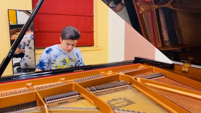 Coffin Dance - Piano Cover by Kian Dabaghi | Arranged by @PeterBuka смотреть онлайн