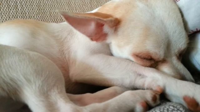 Купер спит смотреть онлайн