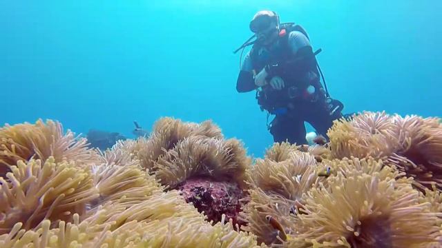 Maldives 2019 Dhifusi Beyru Alifu, South Ari Atoll смотреть онлайн