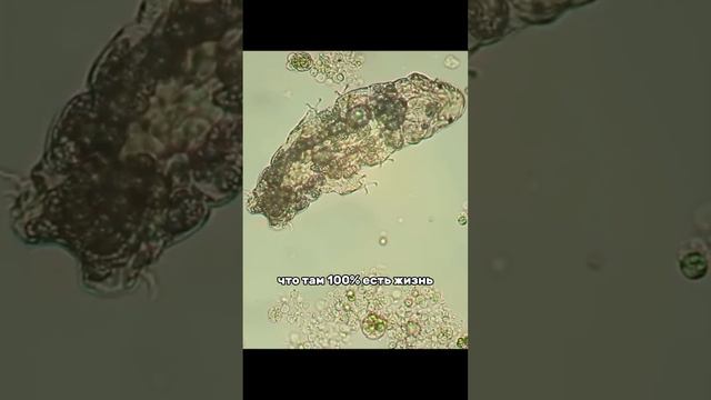 Важные космические новости #космос #наука #планета #планеты #астрономия #интересно #интересное смотреть онлайн