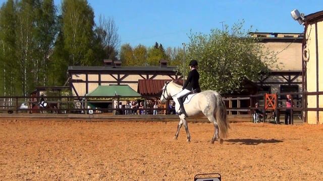 Выездка (Тест для начинающих)// Первые соревнования//Соня на Мажоре// 3 место// смотреть онлайн