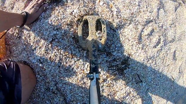 Пляжный поиск с прибором Scuba Tector с штангой. Rod For Scuba Tector. 18.08.2020