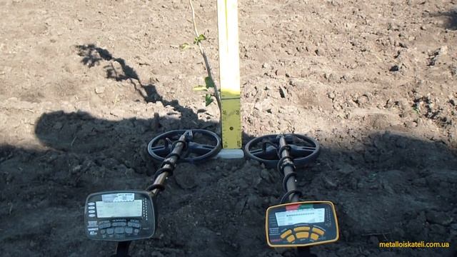 Сравнение Garrett AT PRO и Garrett ACE 400i