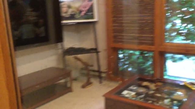 ТУР ПО НАШЕМУ ДОМУ В АМЕРИКЕ АМЕРИКАНСКИЙ МУЖ И НАЧАЛО ЖИЗНИ В США ,