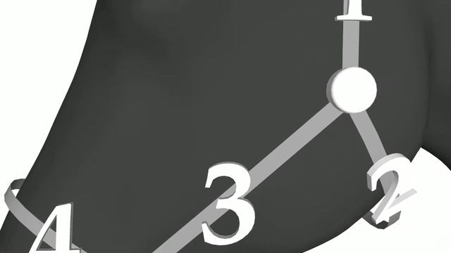 инструкция для измерения головы лошади для изготовления недоуздка смотреть онлайн