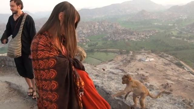 Обезьяна кушает бананы смотреть онлайн