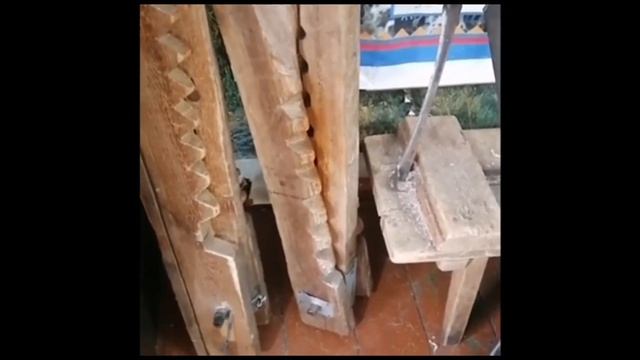 КАМУС ОЛЕНЯ смотреть онлайн