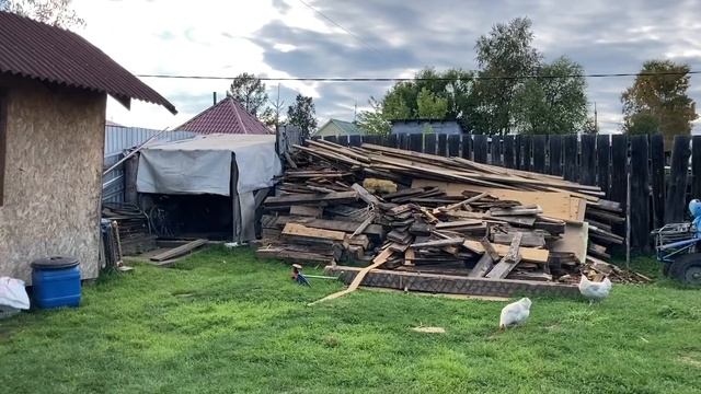 ПОДГНИВАЕТ ДОМ?!??/ЧТО С КУРЯТНИКОМ?!/ответы смотреть онлайн