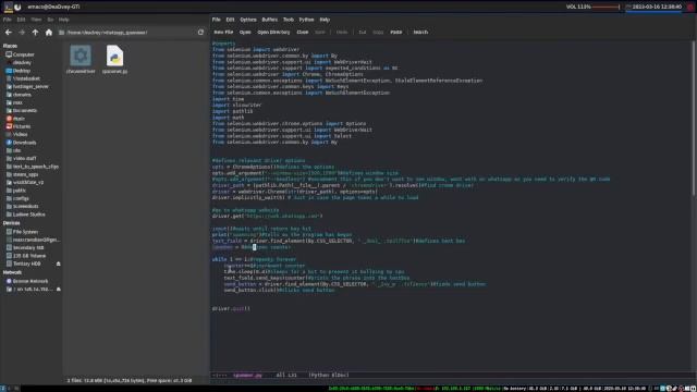 How to build a Whatsapp Spam bot in Python with Selenium смотреть онлайн