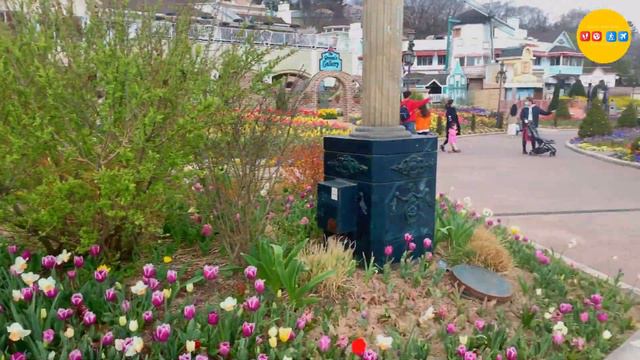 에버랜드 튤립 축제~ 코로나 때문에 사람이 없네~ смотреть онлайн