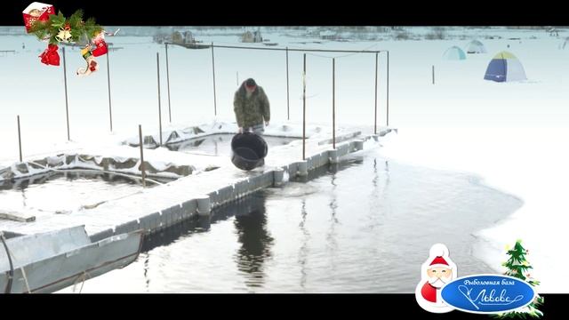 Зарыбление Трофейным Сазаном, Львовские пруды, декабрь 2014 смотреть онлайн