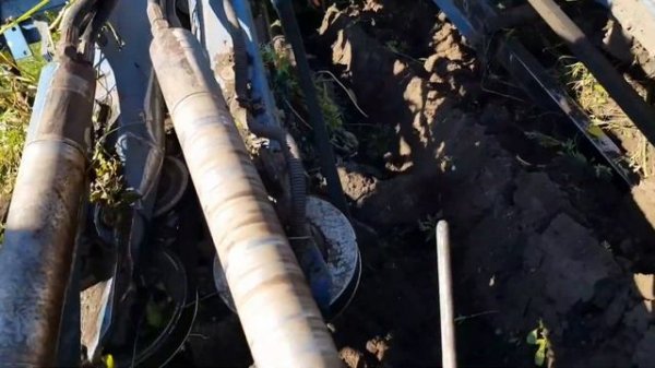 Уборка моркови комбайном Asalift