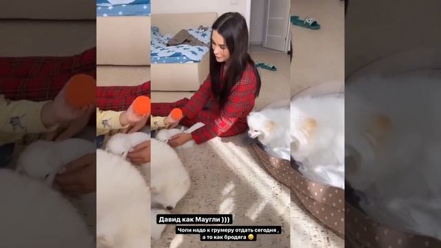 ДАВИД КАК МАУГЛИ ? СЛОЖНЫЙ ПЕРЕЛЁТ В МОСКВУ ? ИРИНА ПИНЧУК И АРАЙ ЧОБОНЯН смотреть онлайн